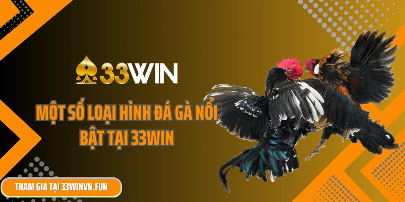 Một số loại hình đá gà nổi bật tại 33win